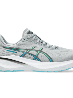 Men's ASICS GT-2000 13